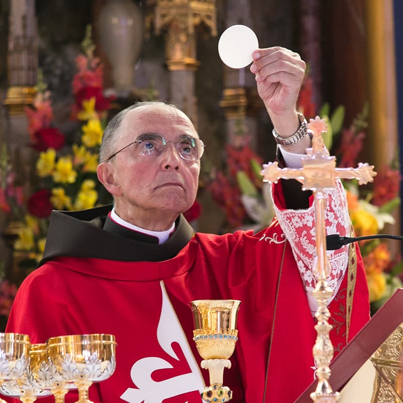Monsenhor João S. Clá Dias durante uma celebração Eucarística
